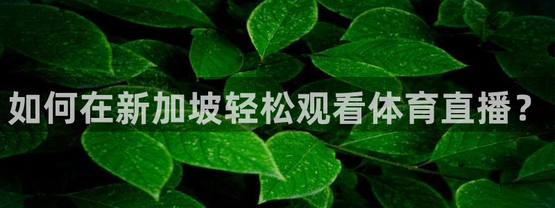 新闻图片