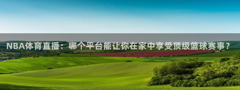 NBA体育直播：哪个平台能让你在家中享受顶级篮球赛事？