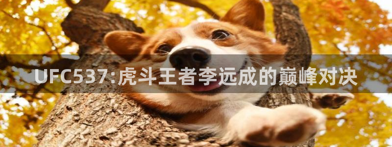 UFC537:虎斗王者李远成的巅峰对决
