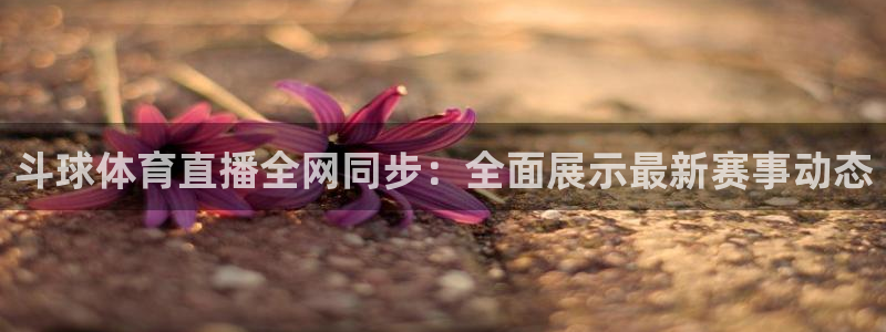 新闻图片