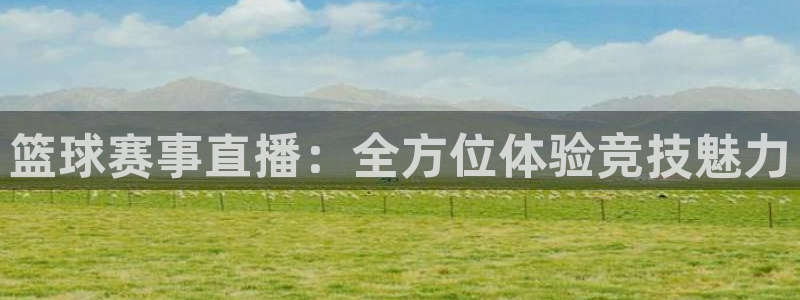 篮球赛事直播：全方位体验竞技魅力