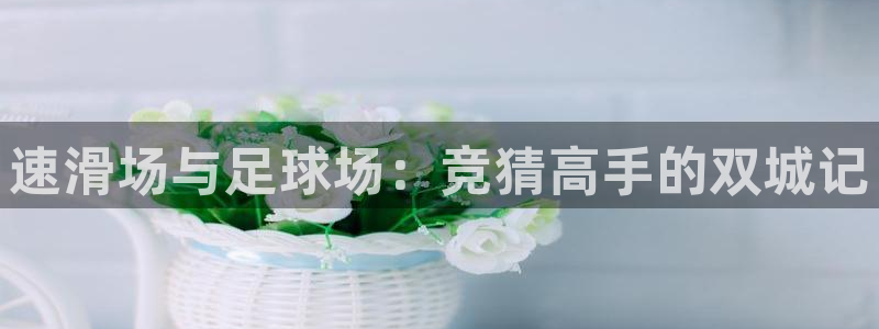 速滑场与足球场：竞猜高手的双城记